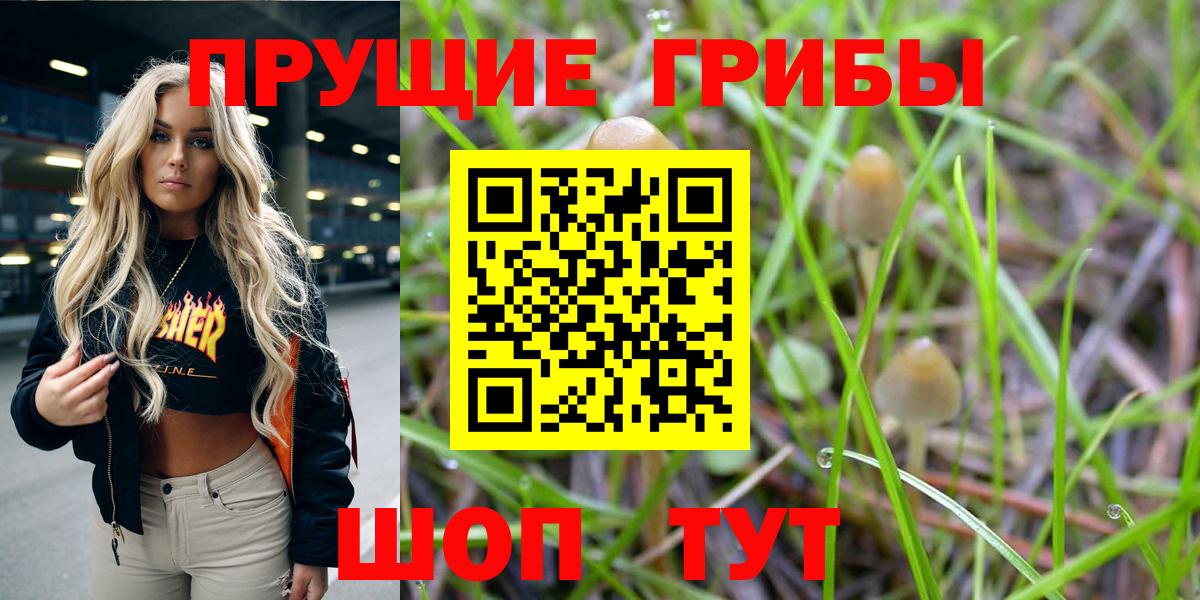 Галлюциногенные грибы MAGIC MUSHROOMS Елабуга
