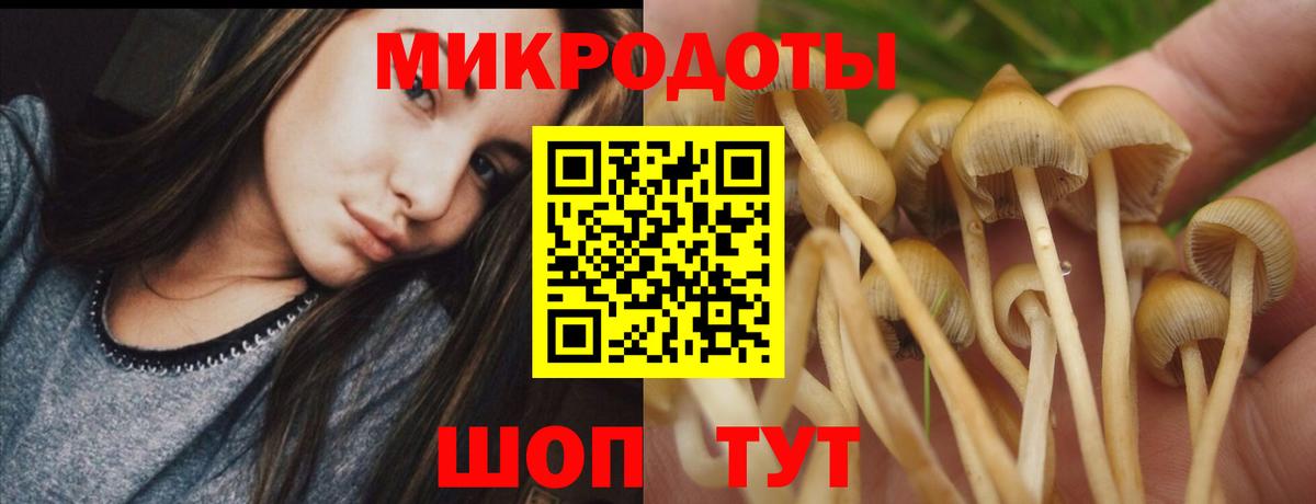 Елабуга  Галлюциногенные грибы ЛСД  Вход с VPN 