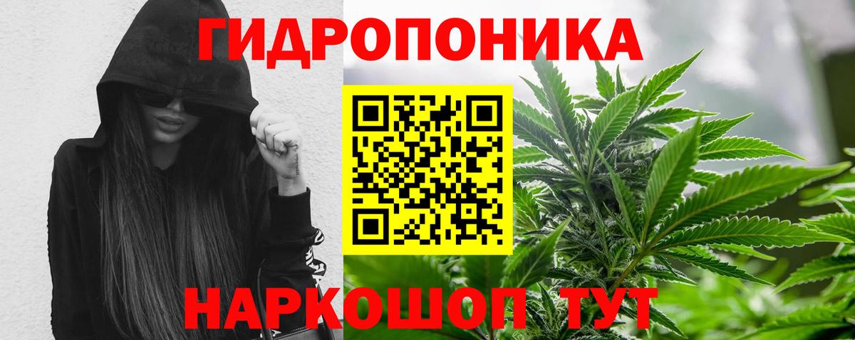 Шишки марихуана Amnesia Елабуга